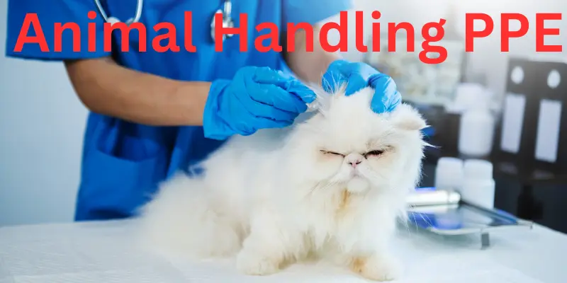 Animal Handling PPE