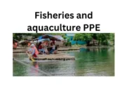 Top 10 Fisheries and Aquaculture PPE and Manufacturers : Safeguarding Workers in Aquatic Environments