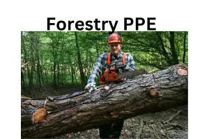 Top 10 Forestry PPE and Manufacturers: A Comprehensive Guide