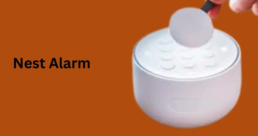 Nests Alarm Nest's Alarm