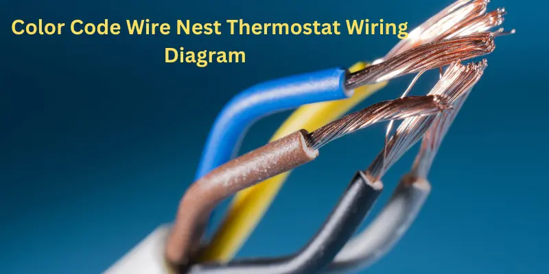 Color Code Wire Nest Thermostat Wiring Diagram Sample