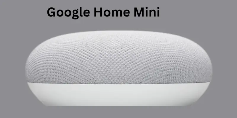 google home mini function Google Home Mini Function