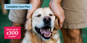  Petsshape Com: Complete Pet Care Guide
