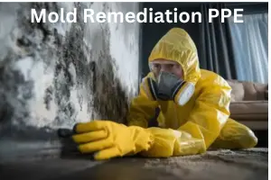 Mold Remediation PPE: 10 Safety Equipment Items for Safer Mold Cleanup