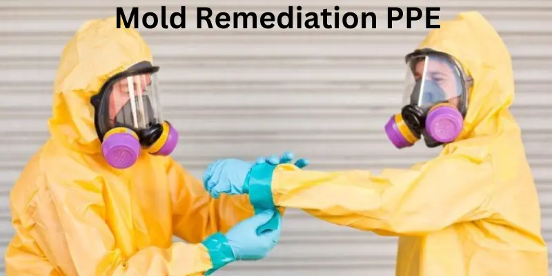 Mold remediation PPE