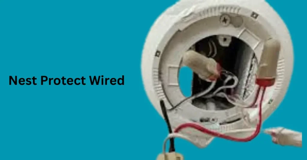 nest protects wired Nest Protects Wired